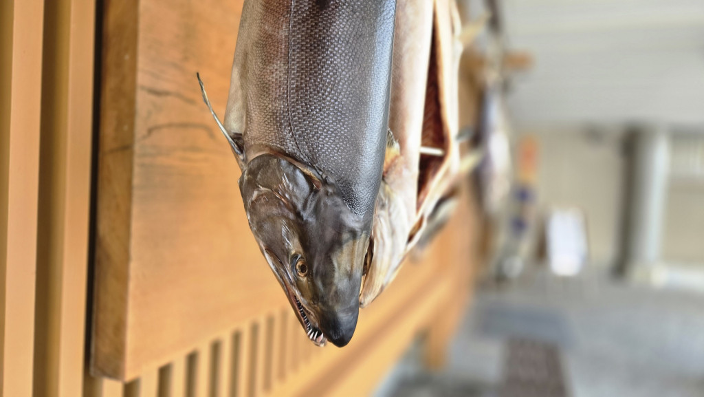 村上の冬の風物詩「塩引き鮭」 - お知らせ｜新潟県瀬波温泉 大観荘せ