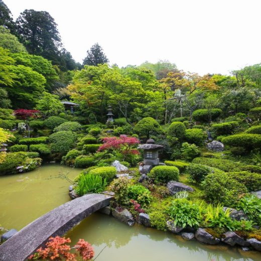 「城下町村上 春の庭 百景めぐり」開催中＜5/31まで＞