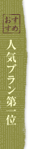 おすすめ人気プラン第一位