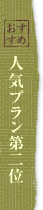 おすすめ人気プラン第二位